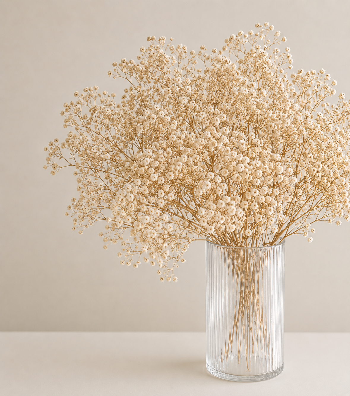 Preserved Gypsophila Bunch (Baby's breath)