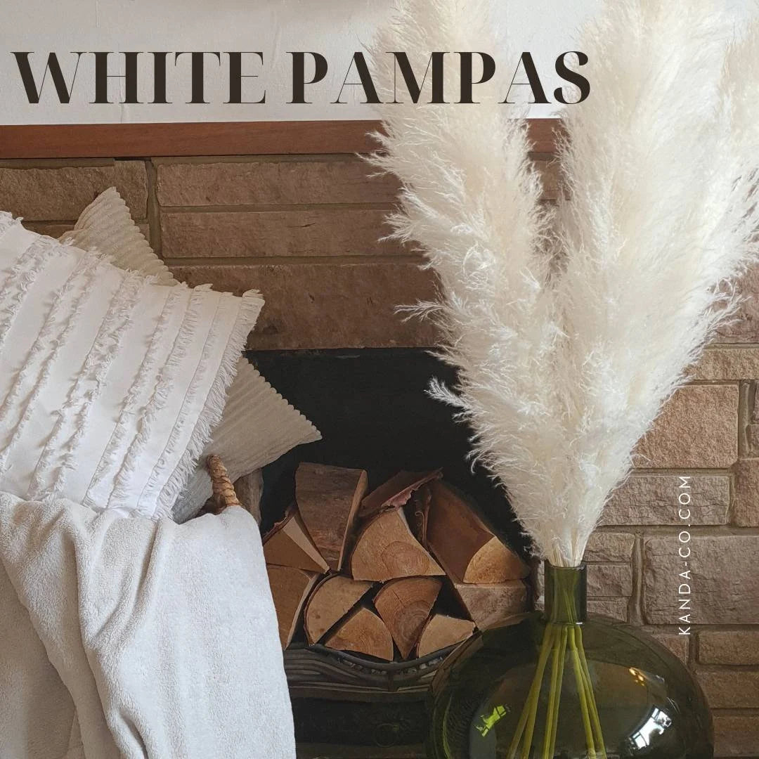XL Fluffy Pampas Grass 110cm | Light Beige Pampas | Dried Flowers Pampas Arrangement
