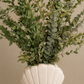 Preserved Mixed Eucalyptus Arrangement
