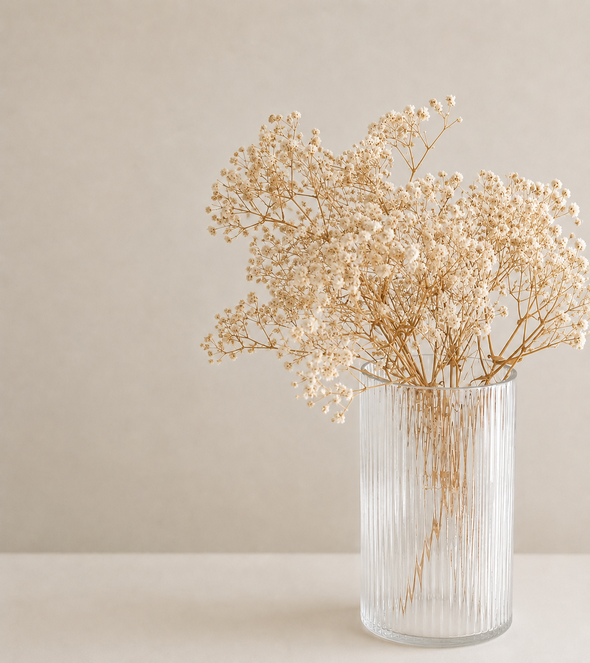 Preserved Gypsophila Bunch (Baby's breath)