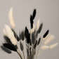 30 Mixed Bunnytails, Black, Grey & White