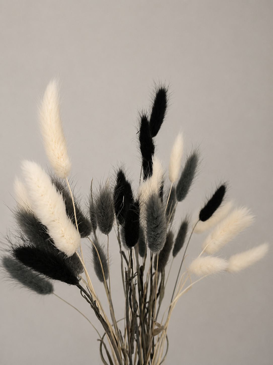 30 Mixed Bunnytails, Black, Grey & White