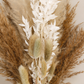 60cm Pampas Grass & Bunny Tail Bouquet