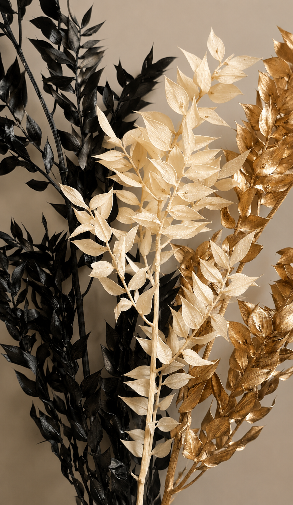 Gold / White / Black Ruscus Stems