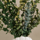 Preserved Mixed Eucalyptus Arrangement