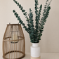 Preserved Mixed Eucalyptus Arrangement