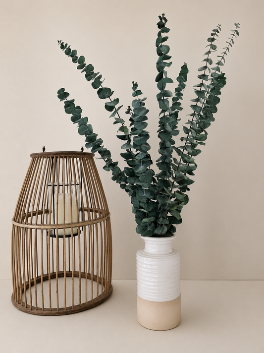 Green 'Baby Blue' Preserved Eucalyptus Bunch