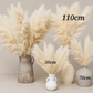 XL Fluffy Pampas Grass 110cm | Light Beige Pampas | Dried Flowers Pampas Arrangement