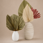 Large Palm Spear | Fan Palm Leaf