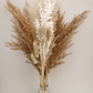 60cm Pampas Grass & Bunny Tail Bouquet