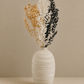 Gold / White / Black Ruscus Stems