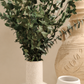 Preserved Mixed Eucalyptus Arrangement
