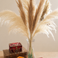 Natural Tones Pampas Grass Bouquet