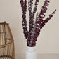 Red 'Baby Blue' Preserved Eucalyptus Bunch