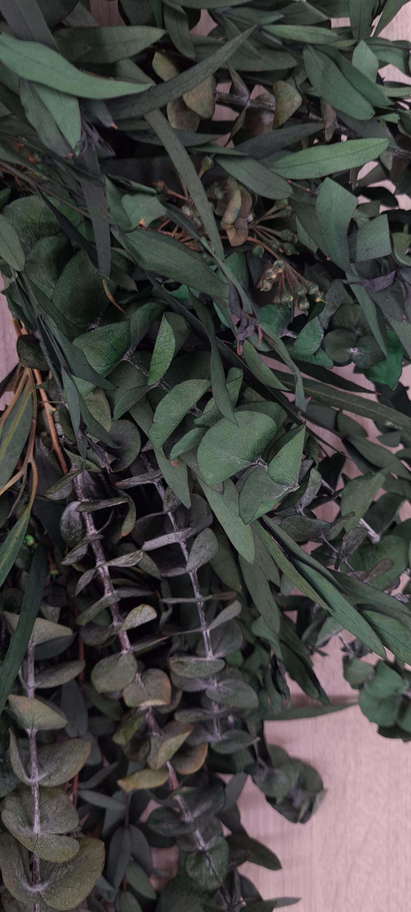 Preserved Eucalyptus Wreath