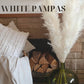 XL Fluffy Pampas Grass 110cm | Light Beige Pampas | Dried Flowers Pampas Arrangement