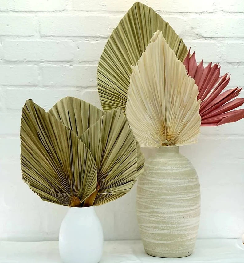 Large Palm Spear | Fan Palm Leaf