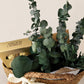Eucalyptus & Ferrero Rochet Hamper Bag Gift Set