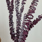 Red 'Baby Blue' Preserved Eucalyptus Bunch