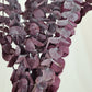 Red 'Baby Blue' Preserved Eucalyptus Bunch
