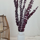 Red 'Baby Blue' Preserved Eucalyptus Bunch