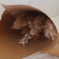 Nude Pampas Grass Bouquet