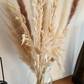 Tall Pampas Grass Bouquet